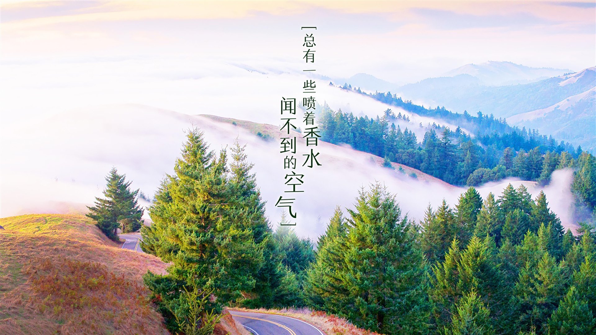 _超级运动酷跑：炫酷装备引领潮流_，超级酷跑!