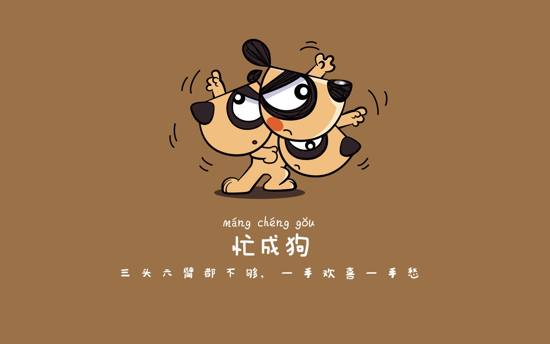 普拉提成为都市女性健身新宠，市场潜力巨大，普拉提健身效果