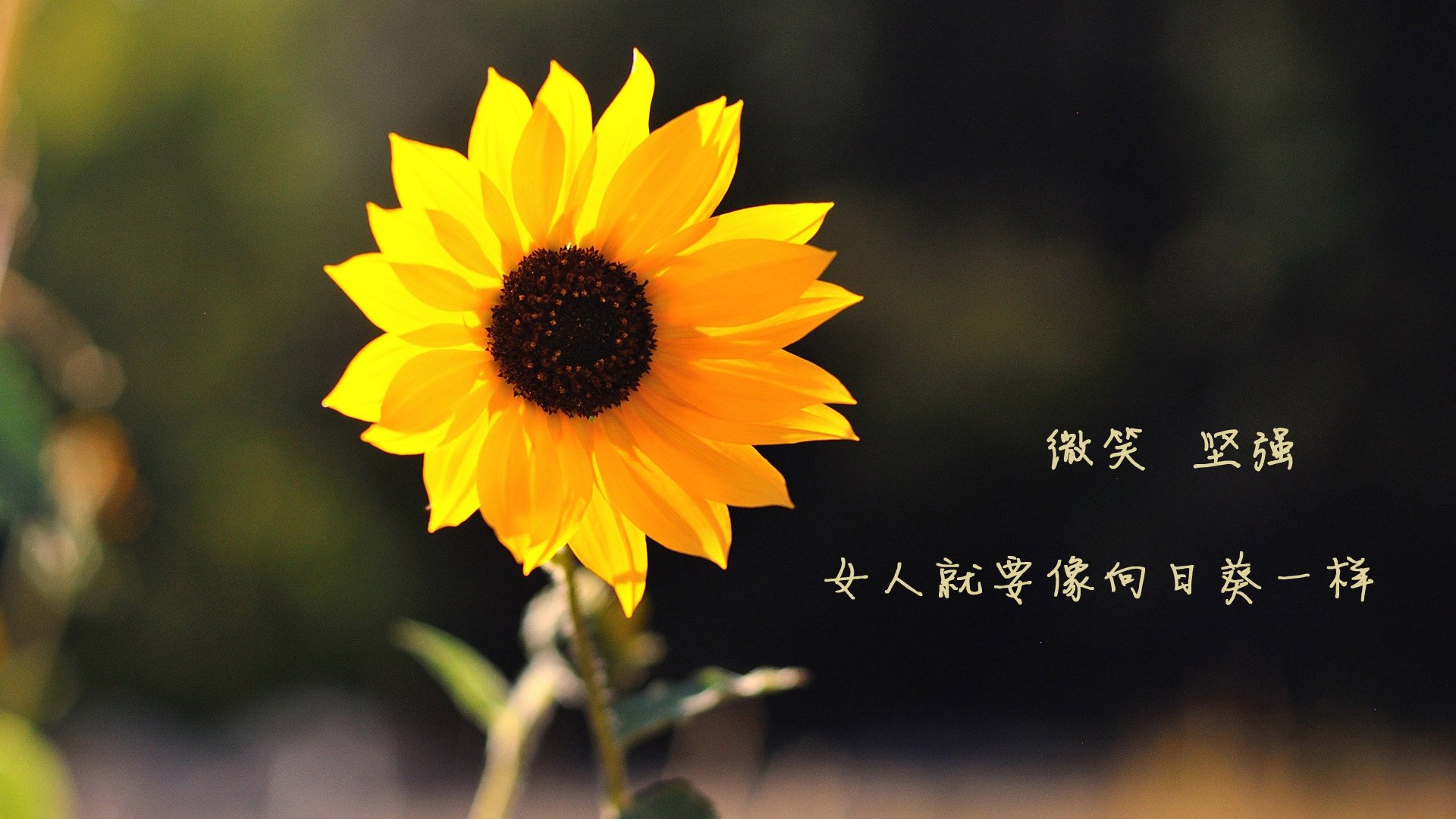 马竞客场告捷，领先积分榜第二名五分，马竞晋级