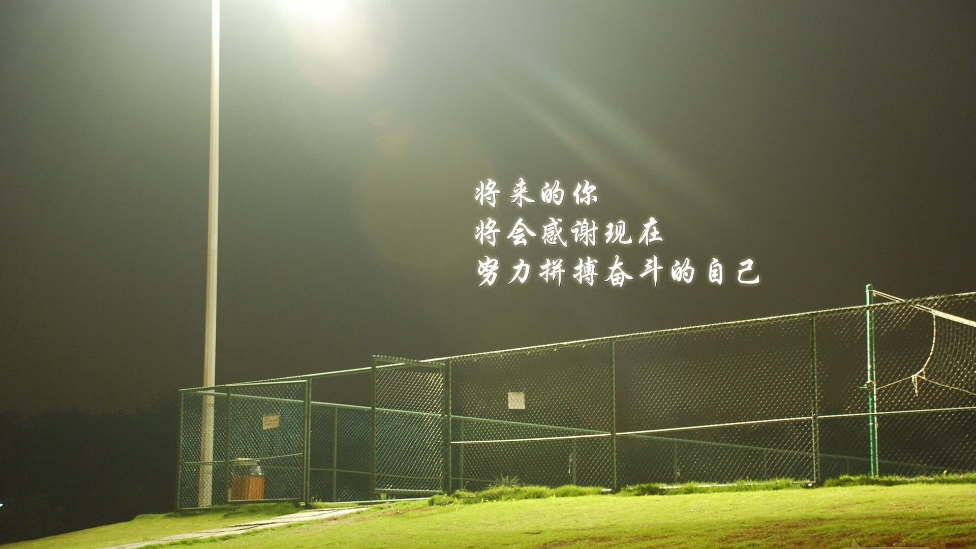 体育新闻中心协助地方体育局开展内容数字化转型，体育数字化转型存在的问题