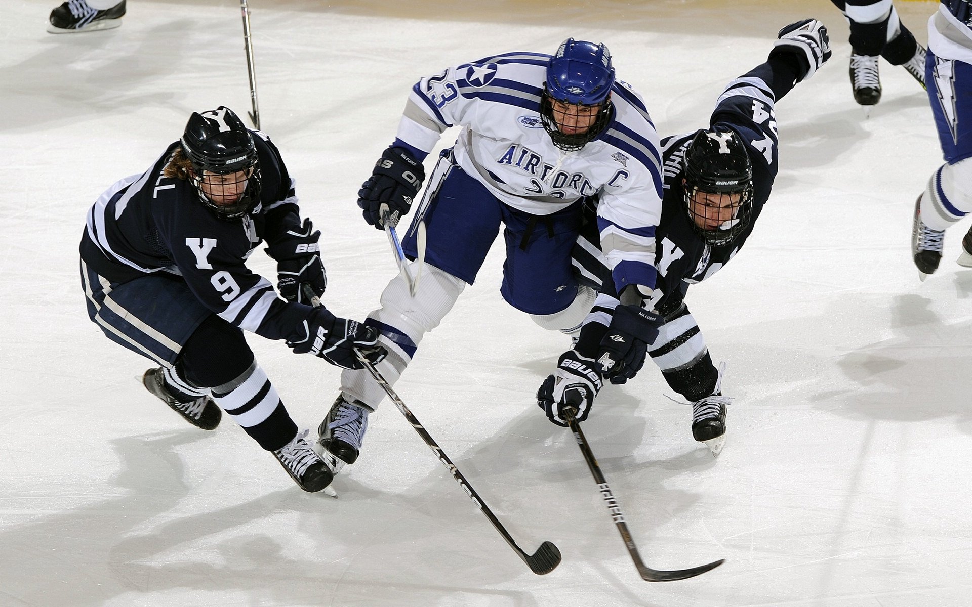 史上最激烈“冠军争夺战”回顾,冠军争夺战 综运动